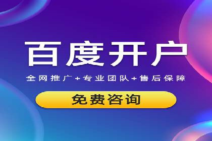 电商平台的SEM关键词优化与推广案例
